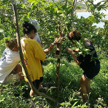 Vũ Linh Lavievulinh Ecolodge מראה חיצוני תמונה