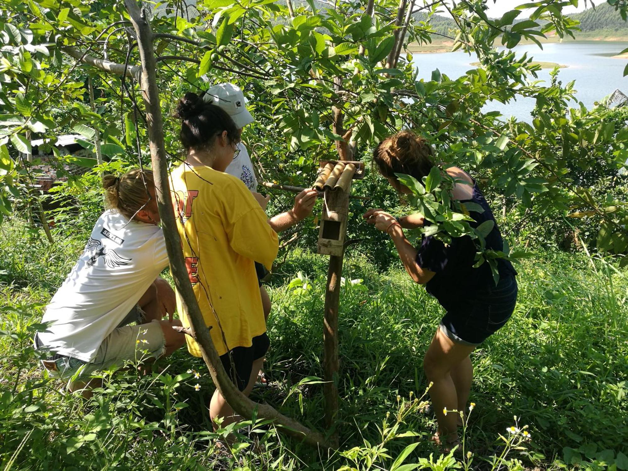 Vũ Linh Lavievulinh Ecolodge מראה חיצוני תמונה